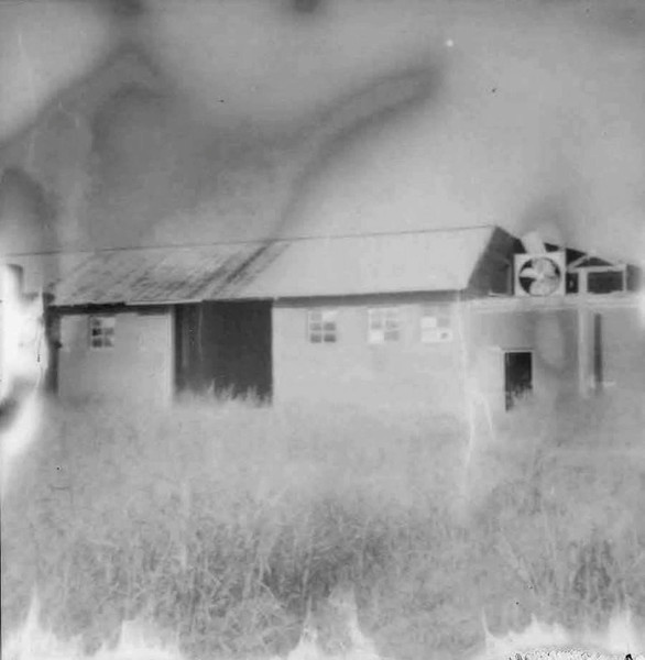 United Bible Studies / Lost Trail 