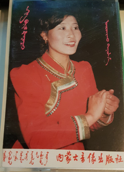 褐色的鹰