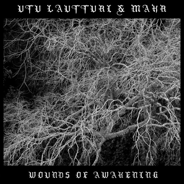 Wounds Of Awakening 