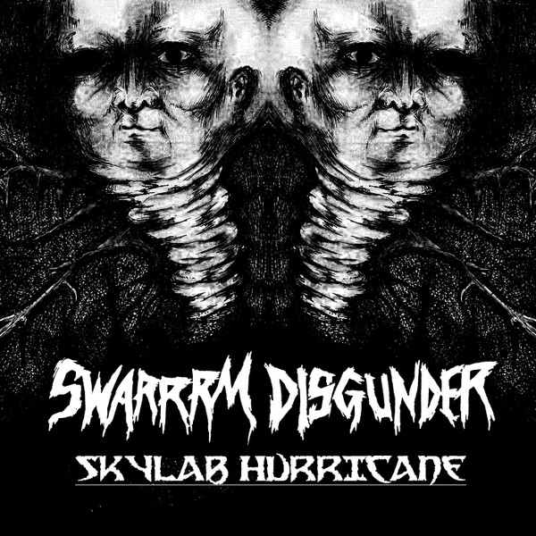 Skylab Hurricane