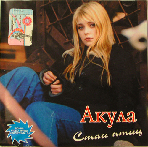 Стаи Птиц