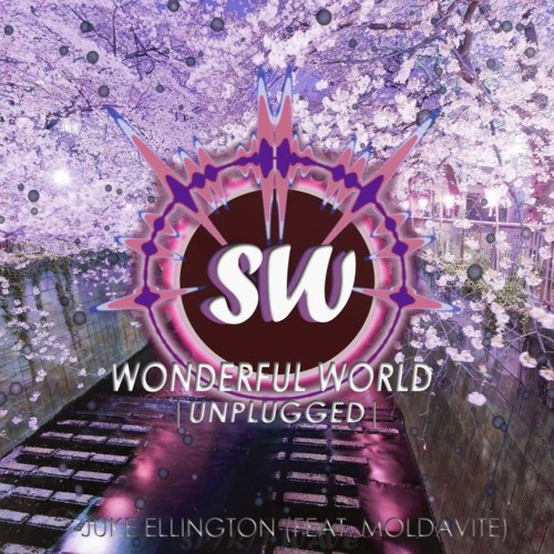 Wonderful World
