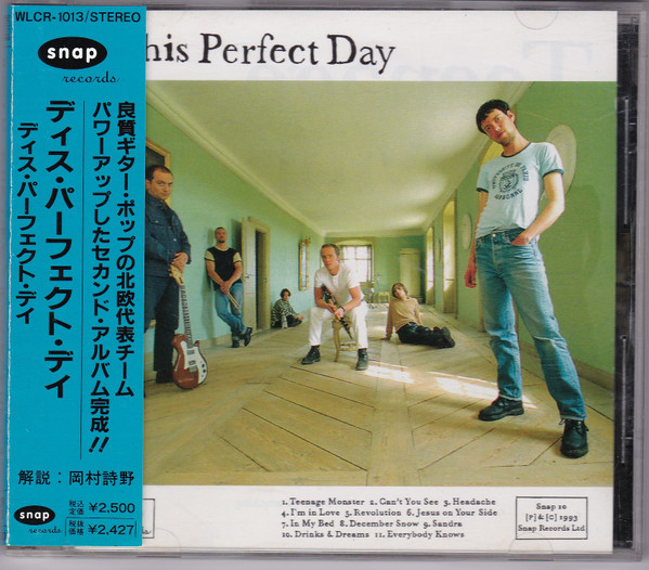 This Perfect Day