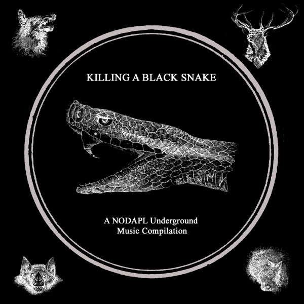 Killing A Black Snake: A NODAPL Underground Music Compilation