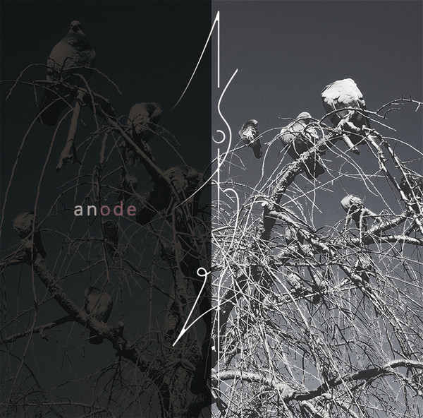 anode