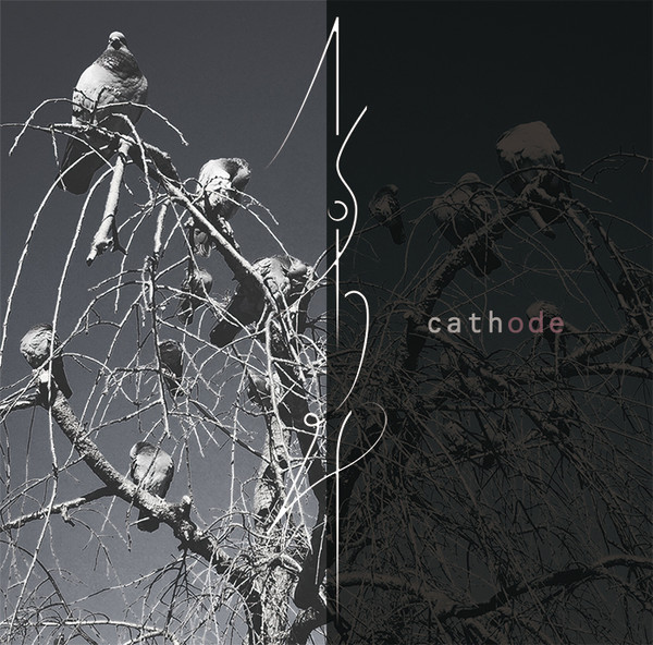 cathode