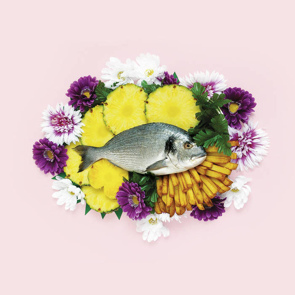 Fish & Sheep