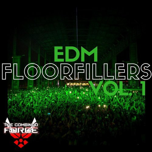 EDM Floorfillers Vol. 1