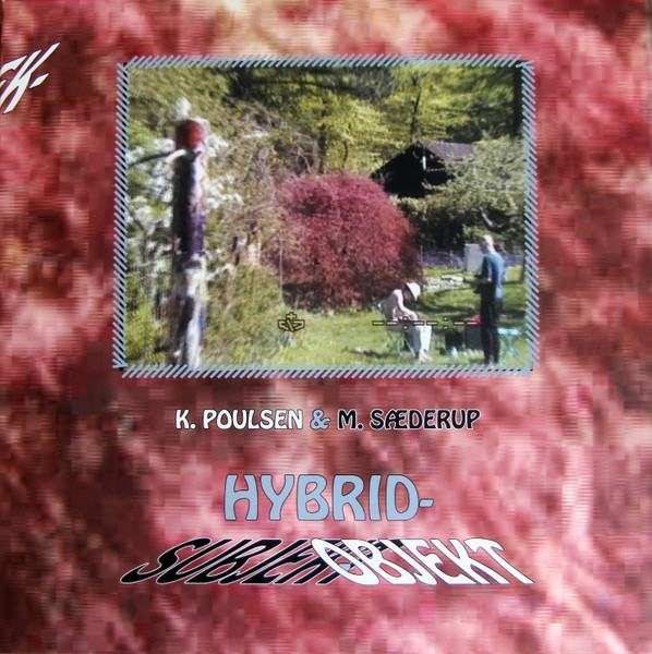Hybrid-Subjekt-Objekt