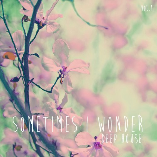 Sometimes I Wonder Deep House, Vol. 1