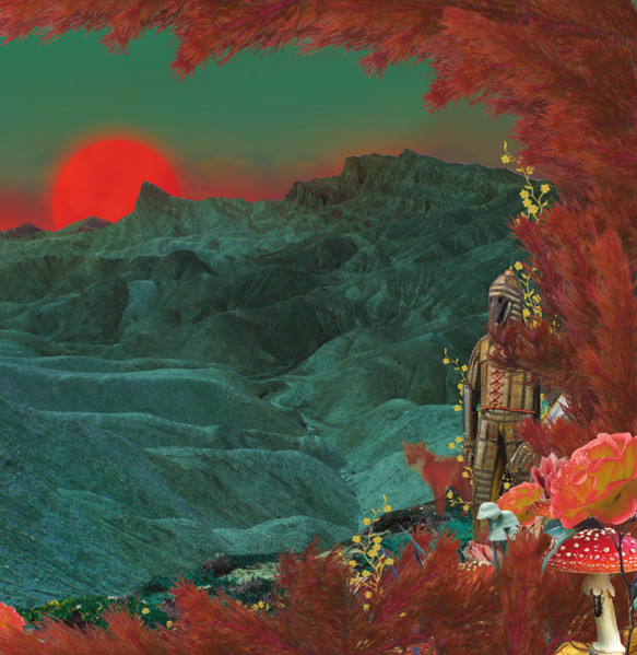 Hawkeyes / The Radiation Flowers