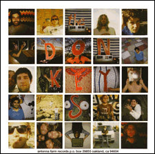The Donkeys / Casiotone For The Painfully Alone