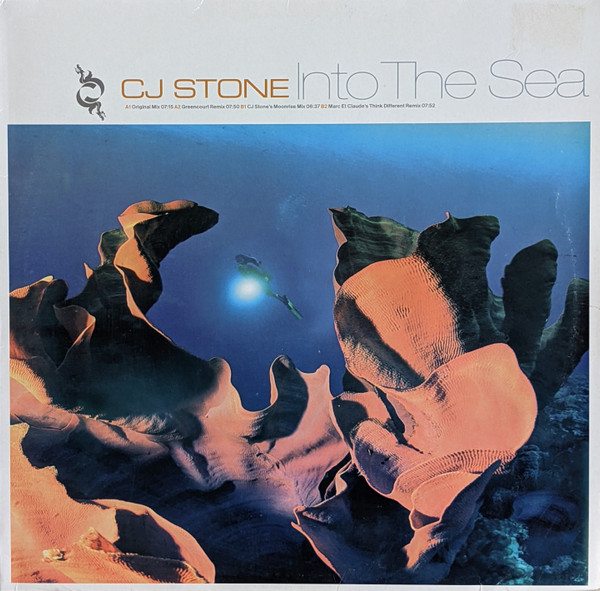 Into The Sea