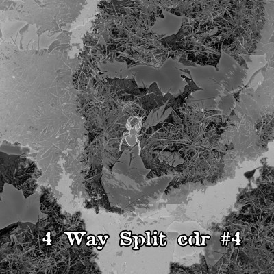 4 Way Split Cdr #4