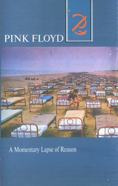 A Momentary Lapse Of Reason
