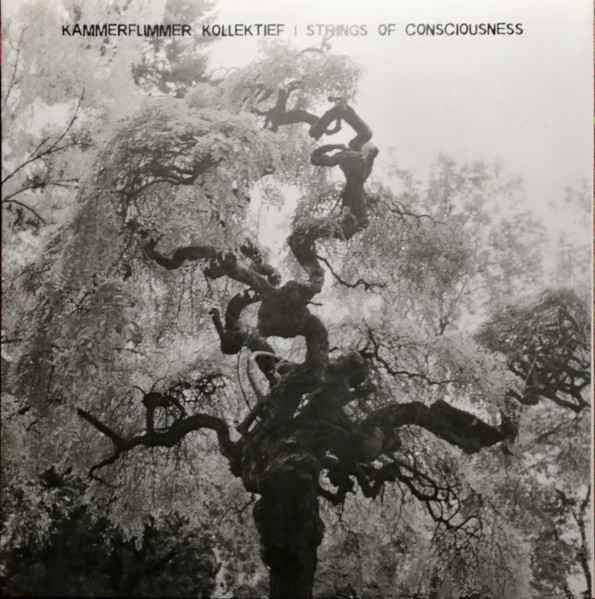 Kammerflimmer Kollektief / Strings Of Consciousness