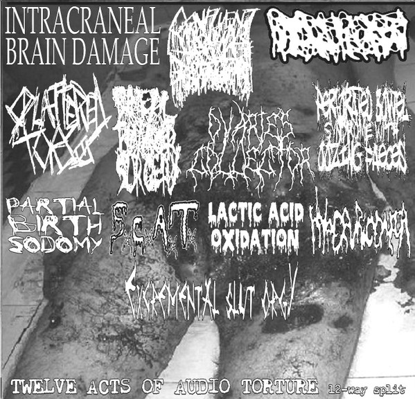 Twelve Acts Of Audio Torture 12 Way Split