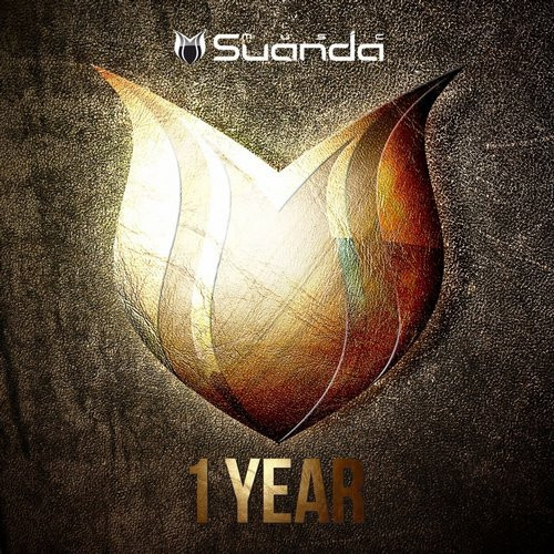 1 Year