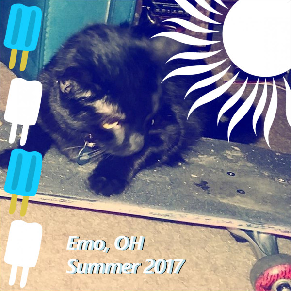 Vol. 3: Summer 2017