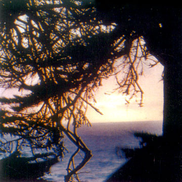 Walk To The Edge Of Earth