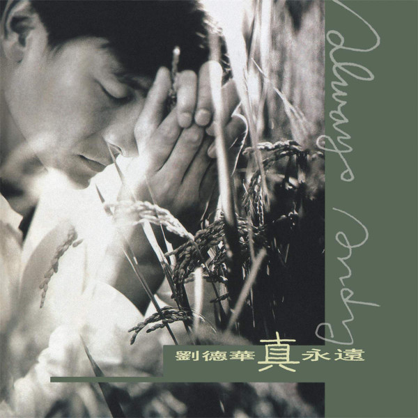 真永遠 (Always Andy)