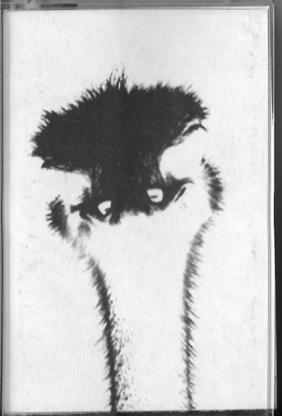 Evil Ostrich