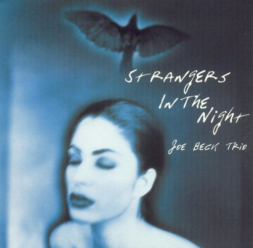 Strangers In The Night