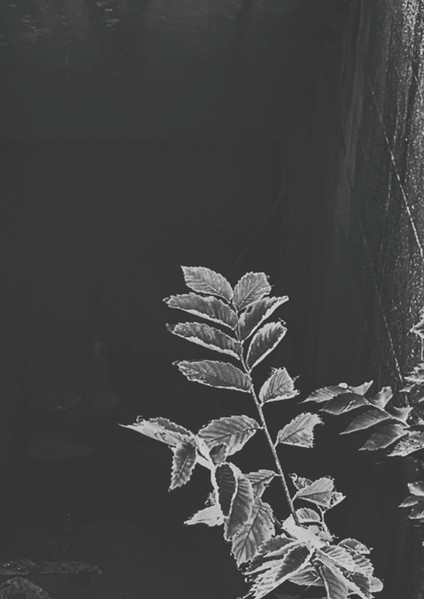 12 04 15