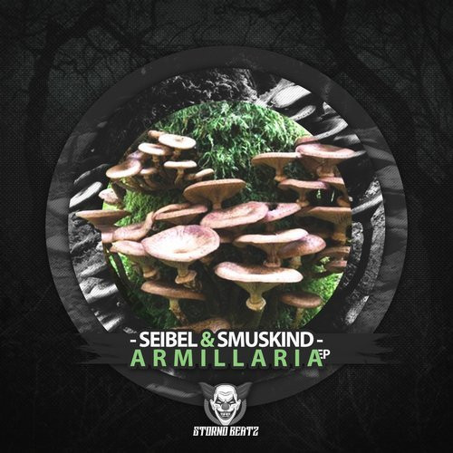 Armillaria EP
