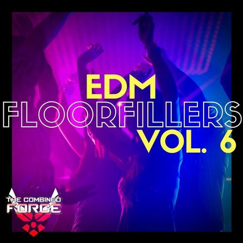 EDM Floorfillers Vol. 6