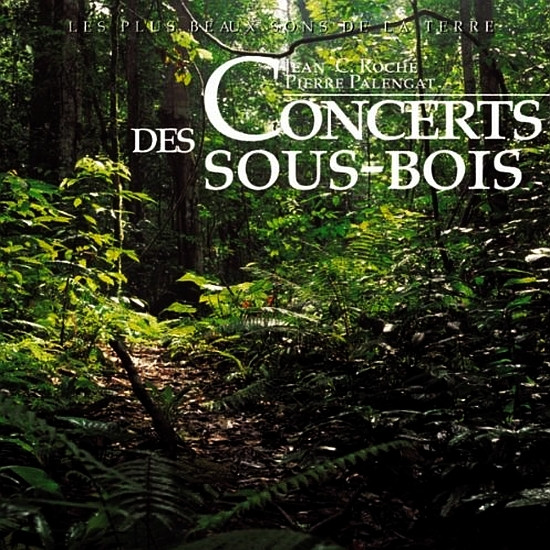 Concert Des Sous-Bois