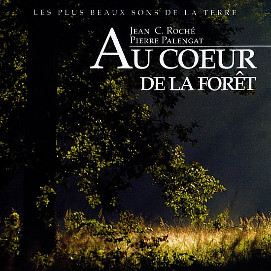 Au Cœur De La Forêt