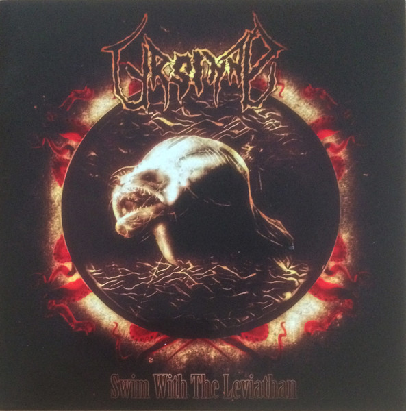 Swim With The Leviathan