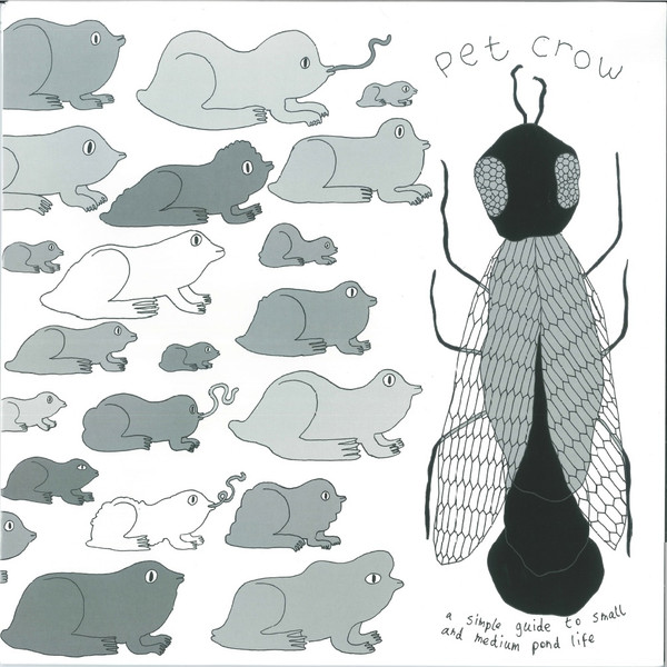 A Simple Guide to Small and Medium Pond Life