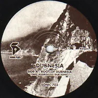 Root Of Dubnesia / Beat Of Dubnesia