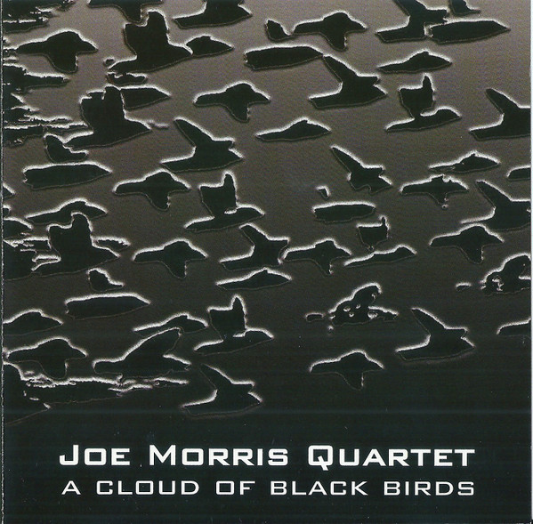 A Cloud Of Black Birds