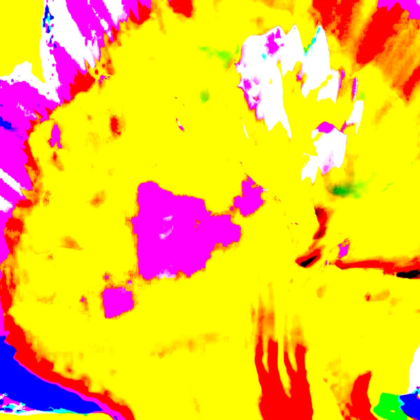 A Collection of Censored Experiments: Volume II