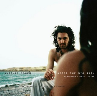 After The Big Rain (Part Three Of The Big Rain Trilogy)