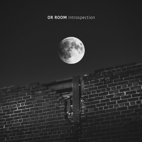 Introspection