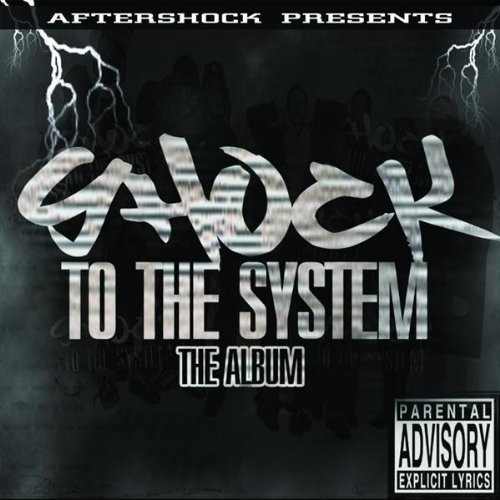 Shock To The System The Album