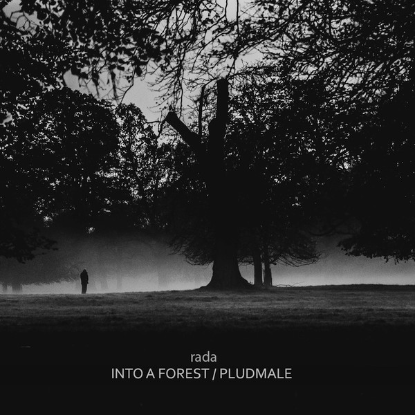 Into A Forest / Pludmale
