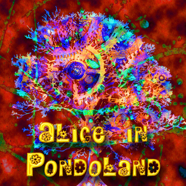 Alice In Pondoland