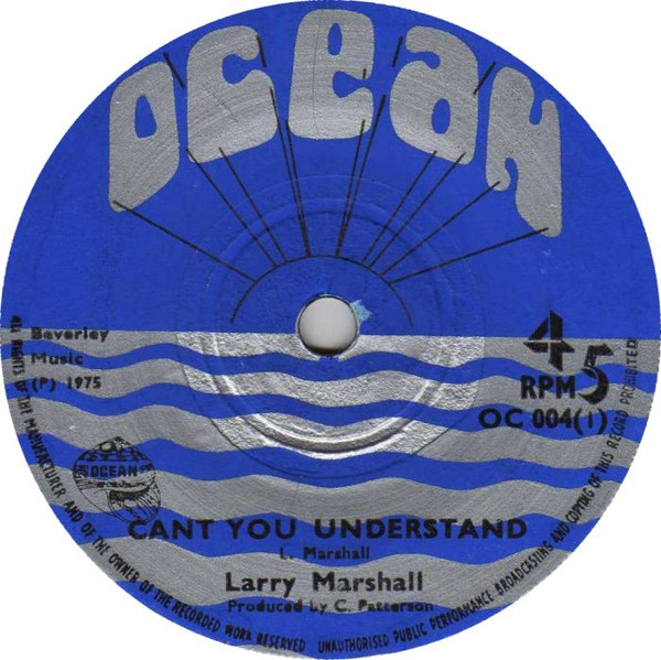 Cant You Understand / Locks Of Dub