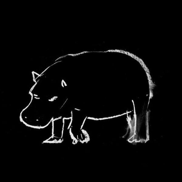Hippopotamus