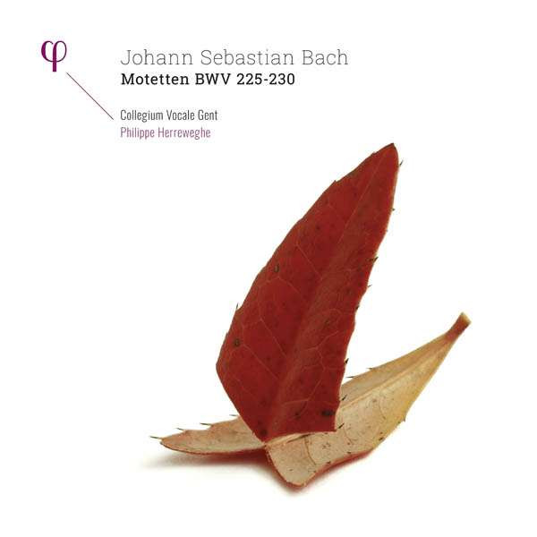 Motetten BWV 225 - 230