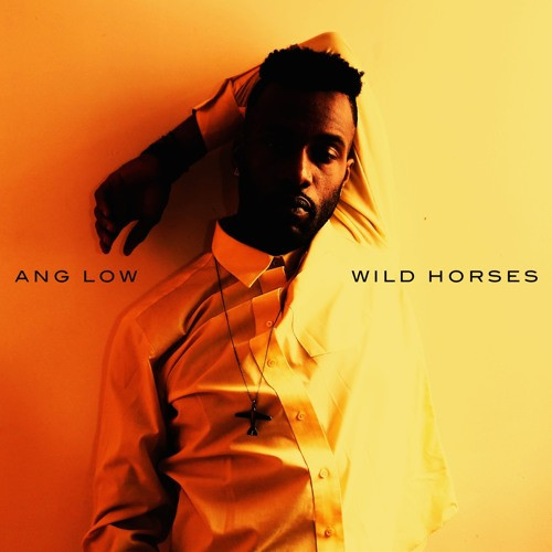 Wild Horses