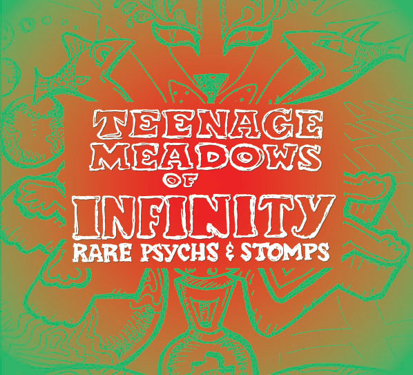 Teenage Meadows Of Infinity (Rare Psychs & Stomps) / From The Ashes Perfect Attainment Shall Be (Modern Freaked Sounds)