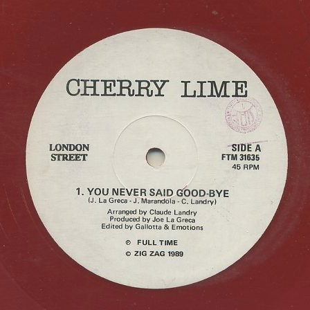 You Never Said Good-Bye
