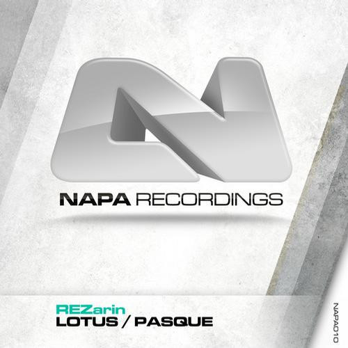 Lotus / Pasque