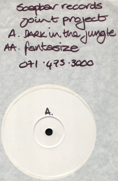 Dark In Da Jungle / Fantasize